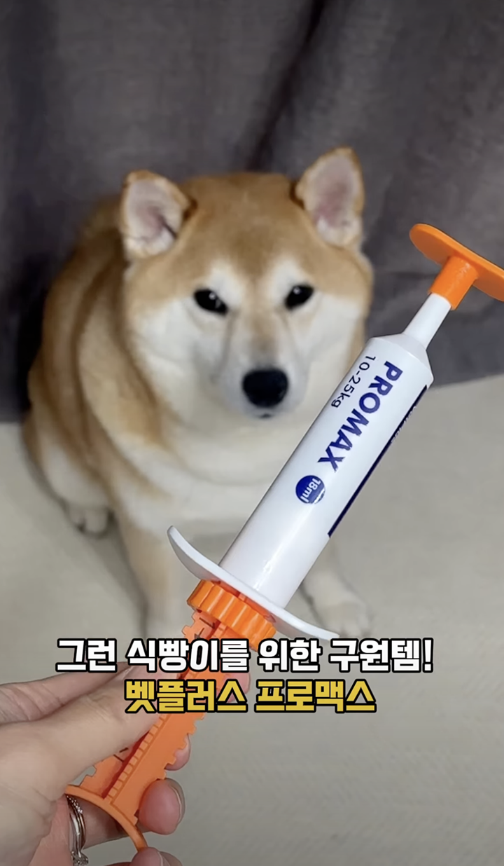 마이크로 인플루언서 콘텐츠 7