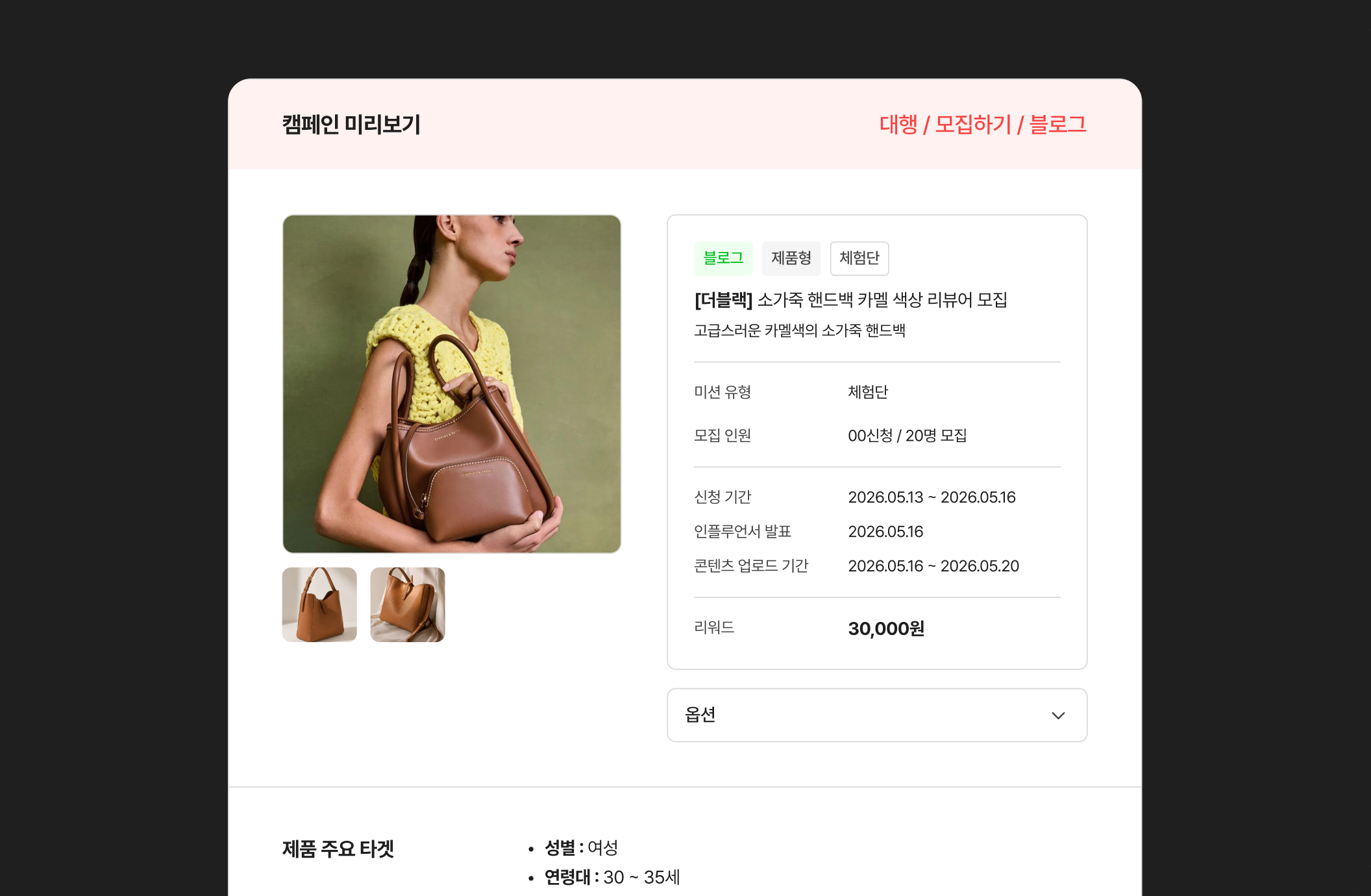 대행 운영 캠페인 진행 방식 화면 예시